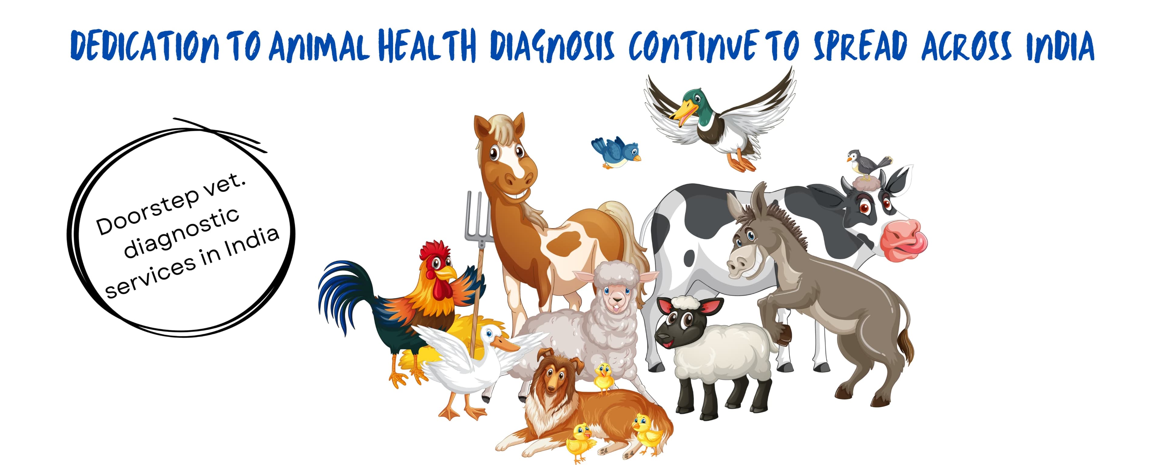 Field Sample Collection