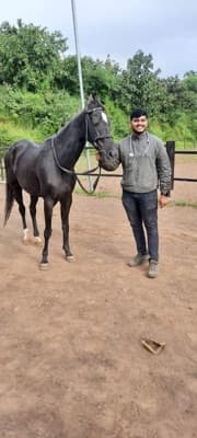 Dr. Rishikesh Pokale